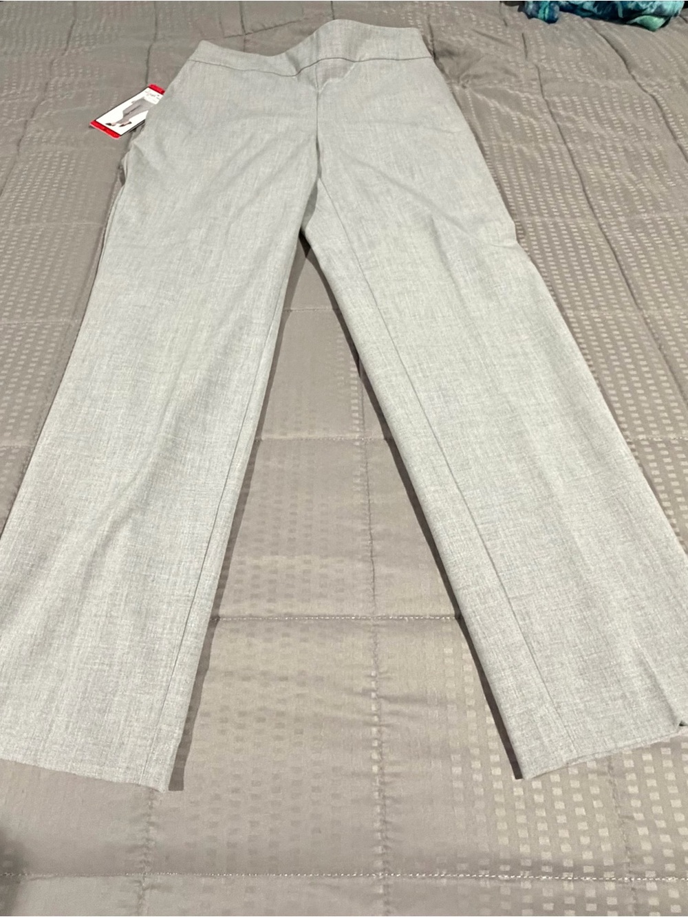 Wonen's Light Gray Dress Pants - Classic Straight Fit